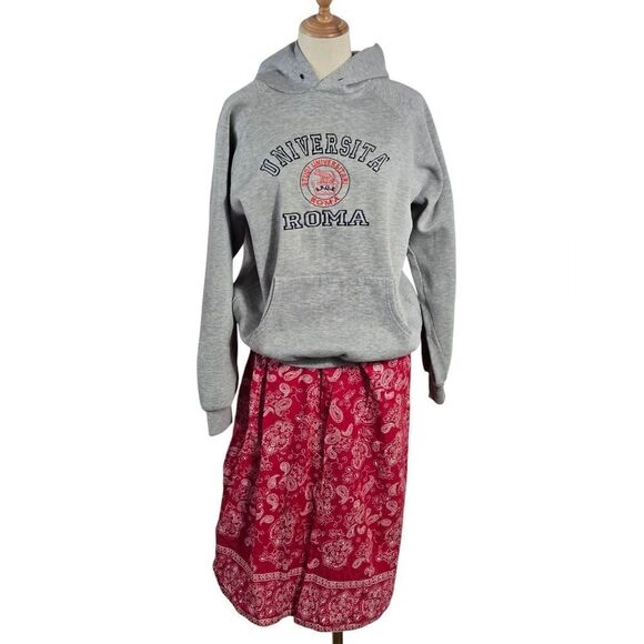 Lemon Collection Univerita Roma Italian Gray College Hoodie - Picture 9 of 9